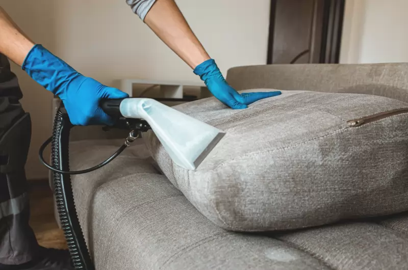 Professional Carpet and Upholstery Cleaning