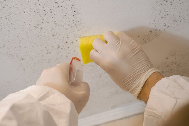Flood & Mould Remediation