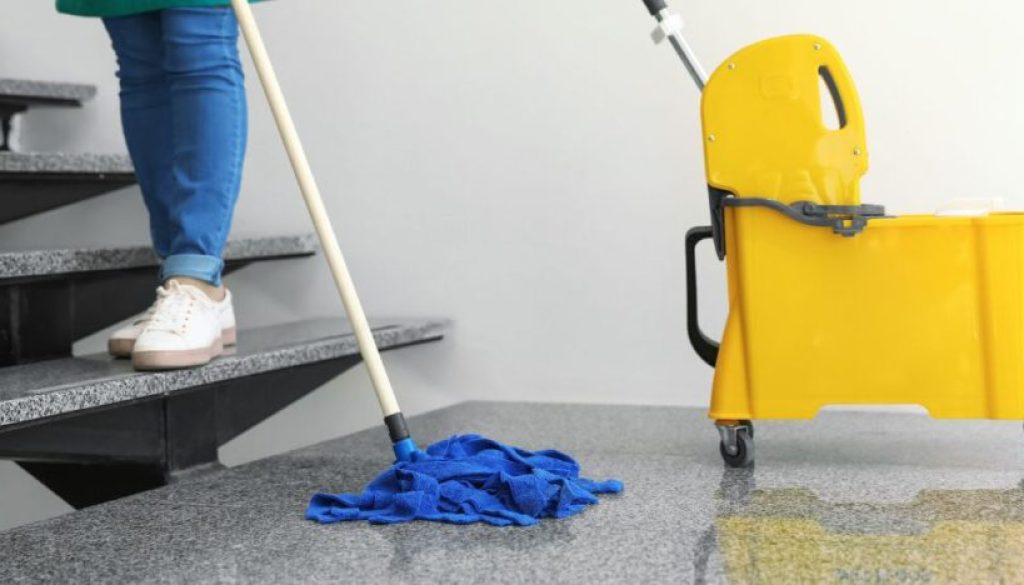 How Cleaners Help Prevent Workplace Pests