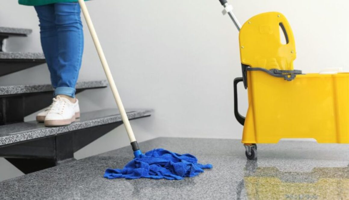 How Cleaners Help Prevent Workplace Pests