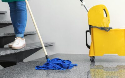 How Cleaners Help Prevent Workplace Pests