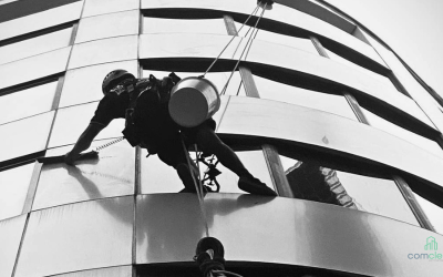 Integrated High Access Cleaning, Maintenance & Building Inspection