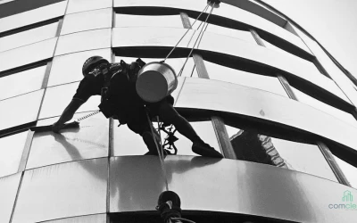 Integrated High Access Cleaning, Maintenance & Building Inspection
