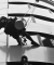 Integrated High Access Cleaning, Maintenance & Building Inspection