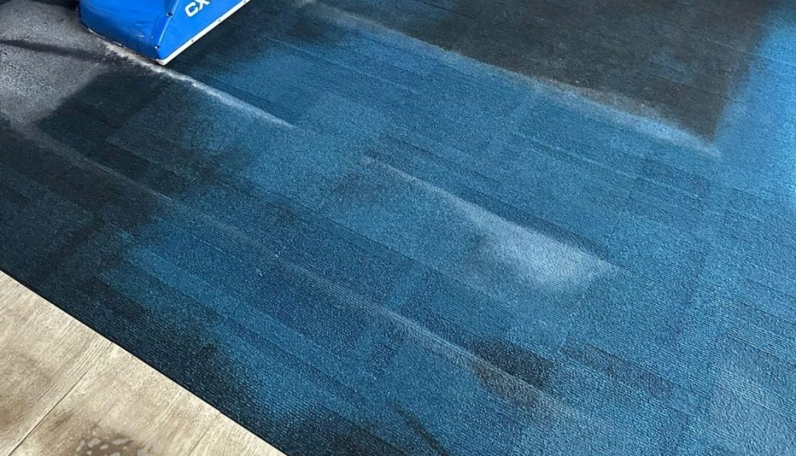 Commercial Carpet Restoration for a Multinational Corporate Facility