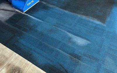 Commercial Carpet Restoration for a Multinational Corporate Facility