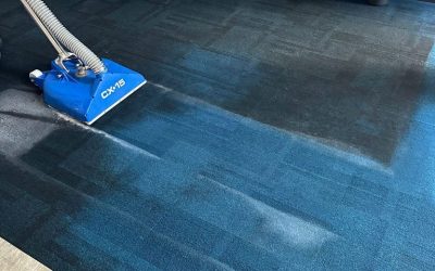 Commercial Carpet Restoration for a Multinational Corporate Facility